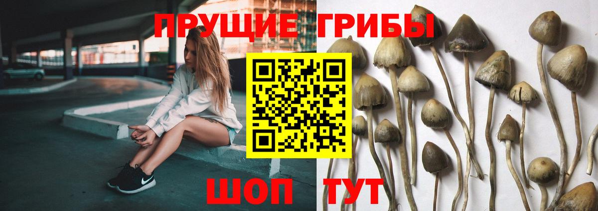 Псилоцибиновые грибы прущие грибы Салават